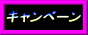 �y�L�����y�[���z�@2008.02.19�X�V�@�C���^�[�N�[���[�ADIXCEL�^OGURA�@�S���i�L�����y�[����